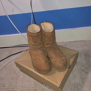 Brown classic ugg boots